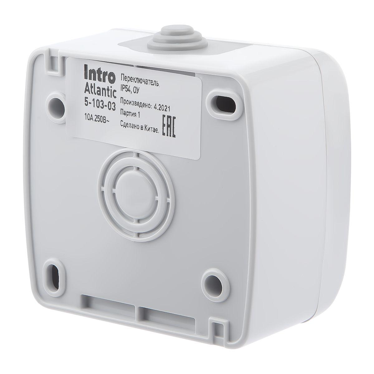 фото переключатель одноклавишный эра 10ax 250v 5-103-03 б0050942 | 220svet.ru