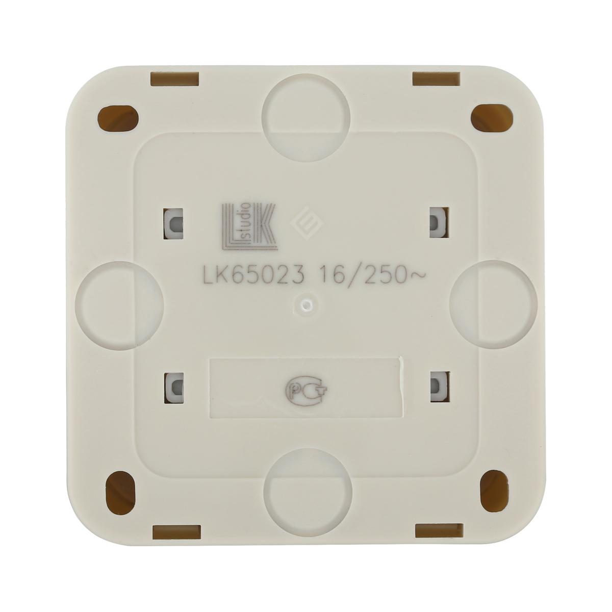 фото розетка lk studio открытой установки без заземляющих контактов с защитными шторками (бежевый) 813301 | 220svet.ru