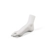 Миниатюра фото статуэтка memorabilia mvsevm female foot seletti | 220svet.ru