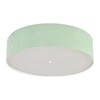 Миниатюра фото потолочный светильник lumion gofera 8326/5 зеленый | 220svet.ru