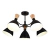 Миниатюра фото потолочная люстра evoluce vista sle1256-402-05 | 220svet.ru