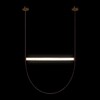 Миниатюра фото подвесной светильник loft it liana 10221/1250 | 220svet.ru