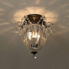 Миниатюра фото потолочный светильник 1242-211 | 220svet.ru