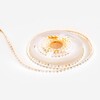 Миниатюра фото лента apeyron 5,4w/m 120led/m теплый белый 5m r00-378 | 220svet.ru