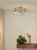 Миниатюра фото светодиодный спот lucide caro-led 13955/14/12 | 220svet.ru
