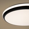Миниатюра фото потолочный светильник с пультом ду freya pie fr6086cl-l117b | 220svet.ru