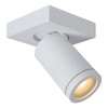 Миниатюра фото спот lucide taylor 09930/05/31 | 220svet.ru