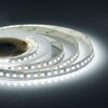 Миниатюра фото светодиодная лента apeyron 14,4w/m 120led/m 2835smd холодный белый 30м 00-523 | 220svet.ru