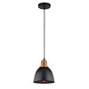 Миниатюра фото подвесной светильник arte lamp eurica a4245sp-1bk | 220svet.ru