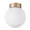 Миниатюра фото настенно-потолочный светильник lightstar globo 812013 | 220svet.ru