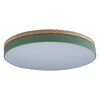Миниатюра фото потолочный светильник loft it axel 10001/36 green | 220svet.ru
