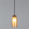 Миниатюра фото подвесной светильник arte lamp leo a7027sp-1bk | 220svet.ru