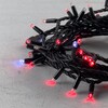 Миниатюра фото гирлянда нить 10м красная с мерцанием белого диода 220в, 75 led, провод черный каучук, ip65 ltc ll75blw-1-2r | 220svet.ru