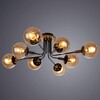 Миниатюра фото потолочная люстра arte lamp oxford a2716pl-8bk | 220svet.ru