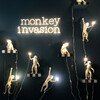 Миниатюра фото подвесной светильник monkey lamp ceiling | 220svet.ru
