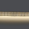 Миниатюра фото светодиодная лента дневной белый lightstar 44w/m 360led/m 5m 423004 | 220svet.ru