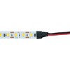 Миниатюра фото светодиодная лента feron 11w/m 120led/m 2835smd 3000к 5m свободный рез ls506 53057 | 220svet.ru