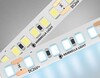 Миниатюра фото светодиодная лента холодный белый ambrella light 14,4w/m 180led/m 2835smd 6500к 5m gs3203 | 220svet.ru