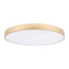 Миниатюра фото потолочный светильник loft it flims 10228/b | 220svet.ru