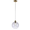 Миниатюра фото подвесной светильник indigo memoria 11003/1p clear v000092 | 220svet.ru