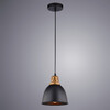 Миниатюра фото подвесной светильник arte lamp eurica a4245sp-1bk | 220svet.ru