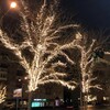 Миниатюра фото светодиодная ветвь 0,5м тепло-белая 24в, 52 led, провод черный пвх, ip54, комплект 3шт ltc ltc-13324 | 220svet.ru