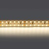 Миниатюра фото светодиодная лента дневной белый lightstar 24w/m 240led/m 5m 421504 | 220svet.ru