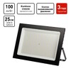 Миниатюра фото прожектор светодиодный уличный эра pro lpr-062-0-65k-200 б0064695 | 220svet.ru