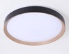 Миниатюра фото потолочный светодиодный светильник ambrella light черный/светлое дерево fz1326 | 220svet.ru