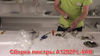 Миниатюра фото потолочная люстра arte lamp 31 a1292pl-5ab | 220svet.ru